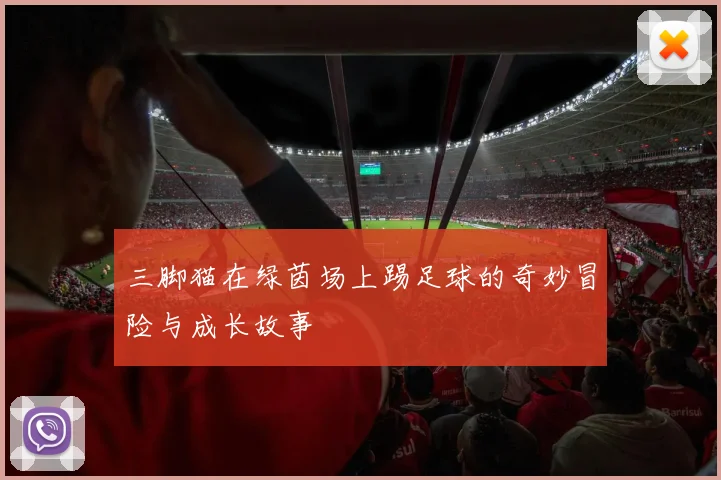 三脚猫在绿茵场上踢足球的奇妙冒险与成长故事