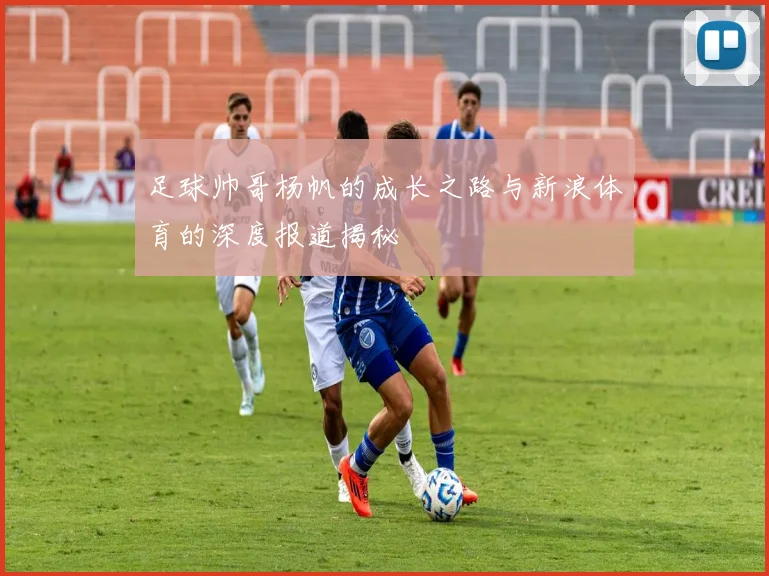 足球帅哥杨帆的成长之路与新浪体育的深度报道揭秘