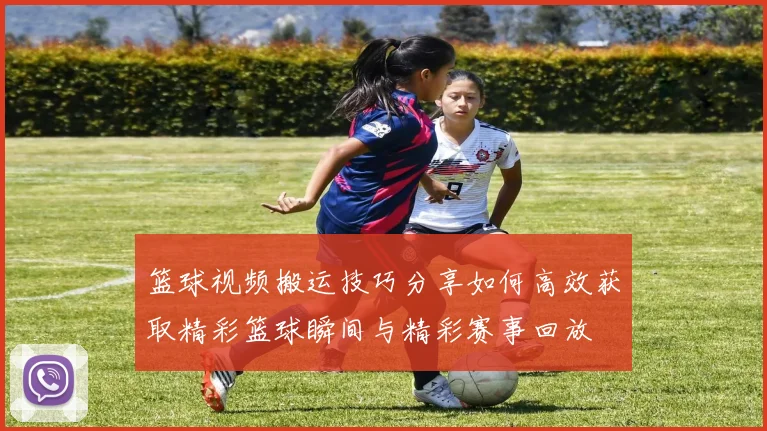 篮球视频搬运技巧分享如何高效获取精彩篮球瞬间与精彩赛事回放