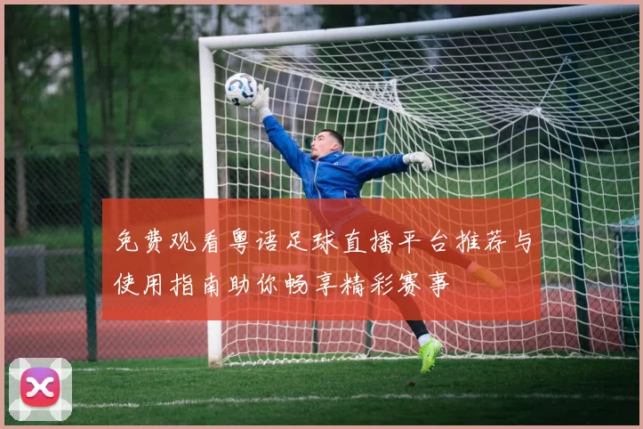 免费观看粤语足球直播平台推荐与使用指南助你畅享精彩赛事