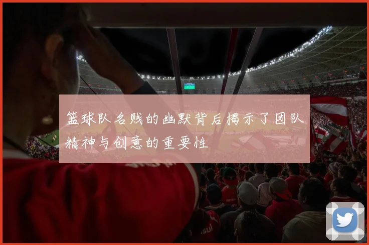 篮球队名贱的幽默背后揭示了团队精神与创意的重要性